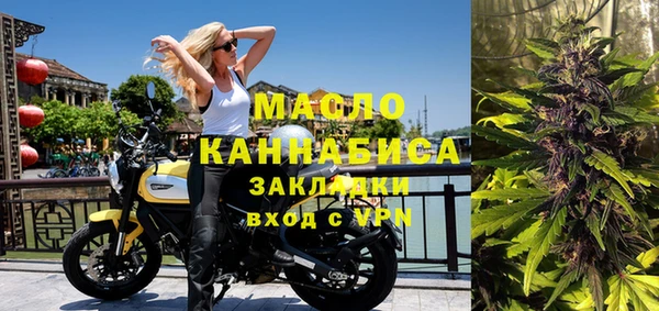 стаф Вязьма