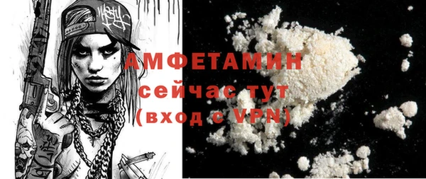 шишки Горно-Алтайск