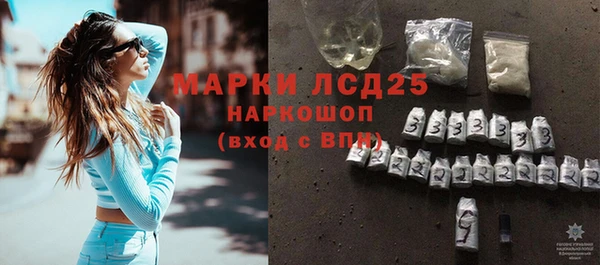 шишки Горно-Алтайск