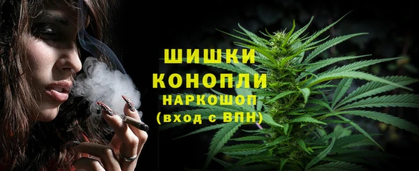 стаф Вязьма