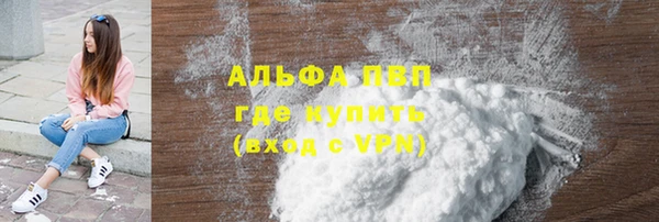 ECSTASY Горняк