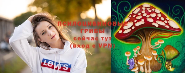 ALPHA PVP Пролетарск