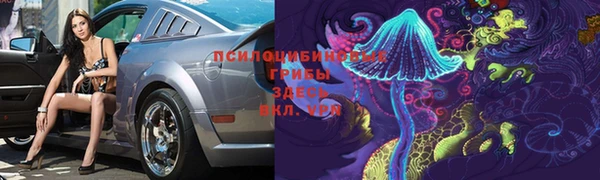 гашик Протвино